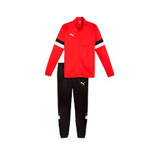 CONJUNTO PUMA TEAM RISE TRACKSUIT