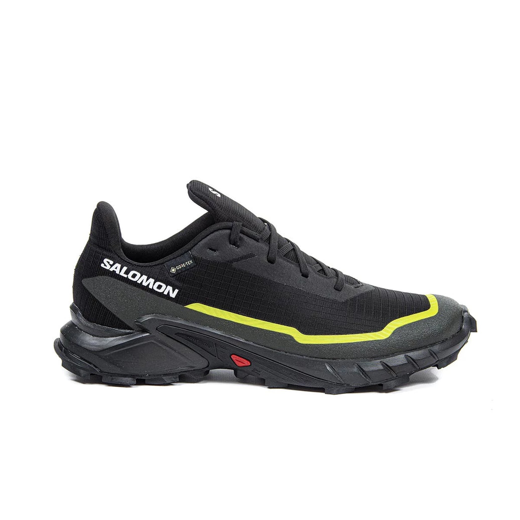 CALZADO SALOMON MENS ALPHACROSS 5 GTX NEVE H