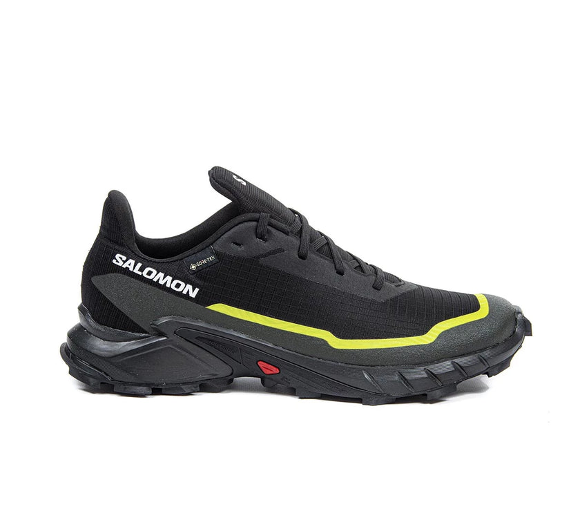 CALZADO SALOMON MENS ALPHACROSS 5 GTX NEVE H