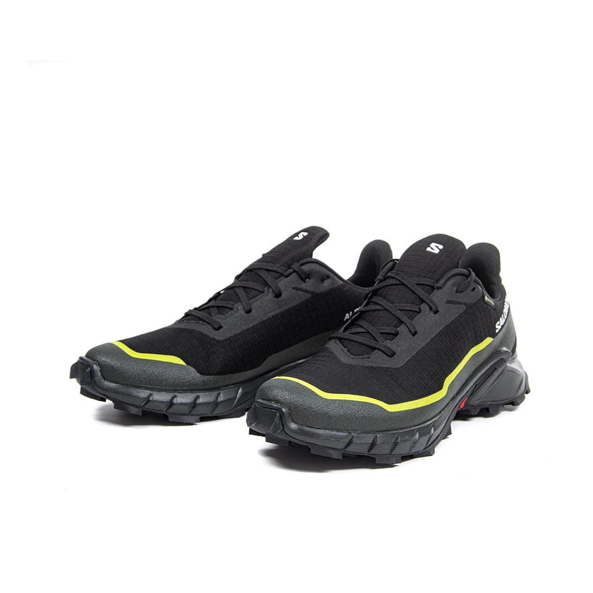 CALZADO SALOMON MENS ALPHACROSS 5 GTX NEVE H