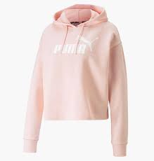 ESS CROPPED LOGO HOODIE TR